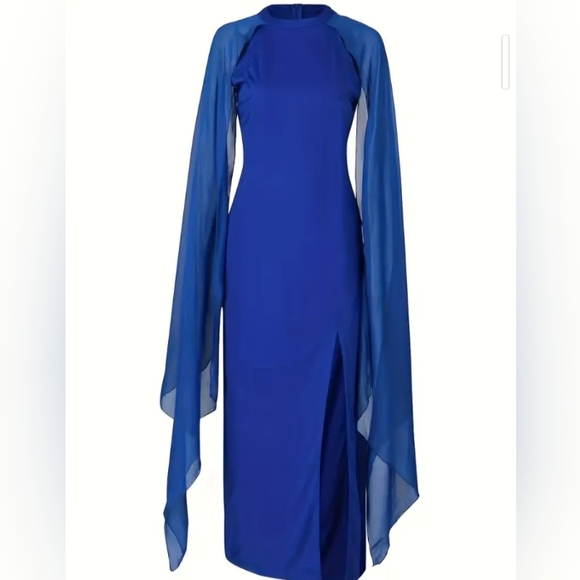 Plus Size Beautiful Stretch Dress w Sheer Sleeves (18+/2X) - Picture 2 of 4